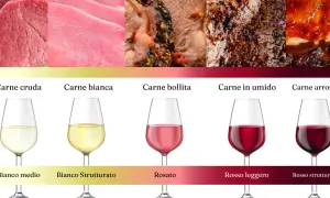 Abbinamenti ideali: carne cruda e bianca con bianchi, carne bollita con rosato, carne in umido e arrosto con vino rosso per carne.