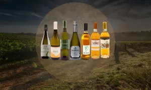 Selezione di pregiati vini bianchi del Friuli, tra cui Sauvignon, Chardonnay e Prosecco, immersi in un paesaggio di vigneti al tramonto.