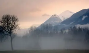 Nebbia mattutina in Valtellina, con montagne innevate sullo sfondo e un albero spoglio in primo piano. Ideale per gustare i vini Valtellina.