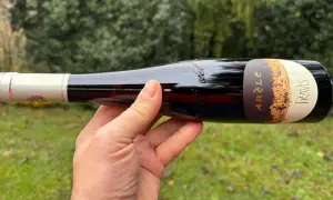 Mano che tiene una bottiglia di vino rosso, etichetta "Arèle Pravis", uno dei vini trentini famosi.
