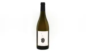 Bottiglia di vino bianco con etichetta artistica raffigurante un germoglio su un sasso. Un grechetto gentile che porta con sé la forza della terra.