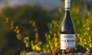Bottiglia di Etna Bianco, uno dei pregiati vini Sicilia, su rocce vulcaniche con vigneti sullo sfondo.