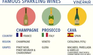 Confronto tra Champagne, Prosecco e Cava: differenze in origine, uve e metodi di produzione.