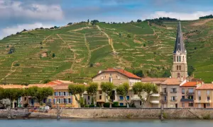 Vigneti terrazzati sul colle dietro un villaggio sul fiume Rodano, dove si produce il famoso cotes du rhone vino.