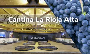 Cantina La Rioja Alta: un viaggio tra i migliori vini della Rioja, dall'uva al calice.