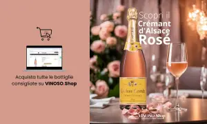 Scopri il Crémant d'Alsace Rosé, un vino spumante perfetto per ogni occasione. Acquista online su VINOSO.Shop.