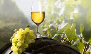 Calice di vino bianco dorato e grappolo d'uva su una botte di legno, con vigneti sullo sfondo. Un assaggio di asprinio di Aversa.