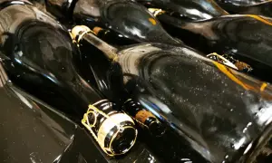 Bottiglie di vino scuro, pronte per la sboccatura. Le gabbie dorate sui tappi promettono bollicine.