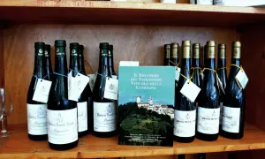 Bottiglie di vino con etichette bianche e blu, e un libro sul recupero viticolo della Lunigiana. I **colli di Luni** sono rappresentati sullo sfondo del libro.