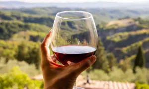 Un bicchiere di vino rosso, un Morellino di Scansano, tenuto in mano con un paesaggio collinare toscano sullo sfondo.
