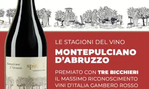 Bottiglia di Montepulciano d'Abruzzo, vino premiato con Tre Bicchieri Gambero Rosso. L'etichetta mostra orsi che lavorano nei vigneti.
