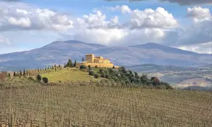 Vigneti di brunello vitigno in Toscana, con un castello in collina e montagne sullo sfondo.