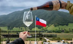 Versando vino cileno in un bicchiere, con la bandiera cilena e le colline verdi sullo sfondo.