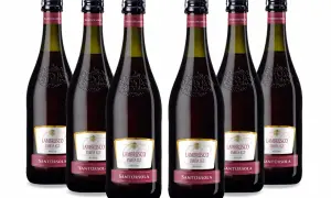 Sei bottiglie di Lambrusco Santorsola, pronte per essere stappate. Il lambrusco è frizzante, perfetto per ogni occasione.