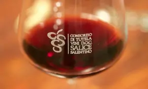 Close-up of a wine glass filled with red wine, showing the "Consorzio di Tutela Vini D.O.C. Salice Salentino" logo.