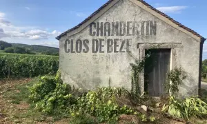Capanna in vigneto con scritta "CHAMBERTIN CLOS DE BEZE", un nome che evoca il prestigio del **grand cru Borgogna**.