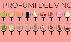 I profumi del vino: bicchieri con frutta, fiori, erbe e spezie che evocano i profumi dei vitigni aromatici.