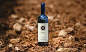 Bottiglia di Sassicaia su terreno arido, evocando la sua origine e la terra che nutre questo vino iconico.