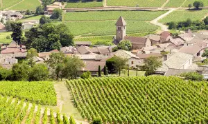 Vigneti rigogliosi circondano un villaggio con una chiesa a Pouilly.