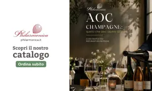 Guida pratica per ristoranti ed enoteche sull'AOC Champagne. Scopri il nostro catalogo e ordina subito.