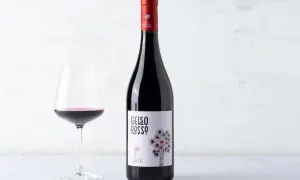 A bottle of red wine and a glass of red wine on a white surface.