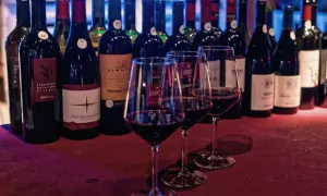 Degustazione di vini rossi, tra cui Teroldego Rotaliano, provenienti dal Trentino Alto Adige. Le bottiglie sono allineate, con tre calici pieni in primo piano.