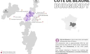 Mappa della Côte de Beaune, regione vinicola della Borgogna, con i villaggi principali evidenziati.
