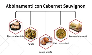 Abbinamenti con Cabernet Sauvignon: bistecca alla griglia, funghi, anatra arrosto, piatti vegetariani e formaggi stagionati.