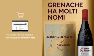 Il vino Grenache ha molti nomi: Garnacha, Cannonau. Scopri le bottiglie consigliate su VINOSO.Shop.