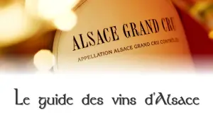 Etichetta di "Alsace Grand Cru" su una bottiglia, con testo "Le guide des vins d'Alsace" in basso.