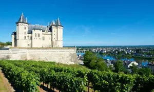 Castello medievale su una collina con vigneti rigogliosi in primo piano, con vista sulla città e sul fiume. Un paesaggio da Vouvray.