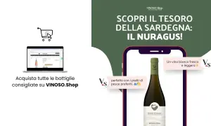 Scopri il tesoro della Sardegna: il Nuragus di Cagliari, un vino bianco fresco e leggero, perfetto con il pesce. Acquista su VINOSO.Shop.