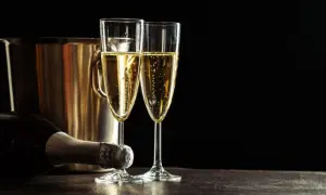 Due calici di champagne scintillante, una bottiglia e un secchiello per il ghiaccio. Un'uva per lo champagne, pronta per essere gustata.