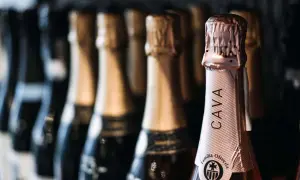 Bottiglie di cava spagnolo in fila. La bottiglia in primo piano mostra l'etichetta "CAVA Familia Oliveda".