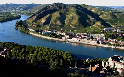 Villaggi pittoreschi lungo il Rodano, con vigneti terrazzati che salgono sui pendii verdi. Un fiume serpeggia tra i borghi, evocando l'atmosfera dei Cotes du Rhone Villages.