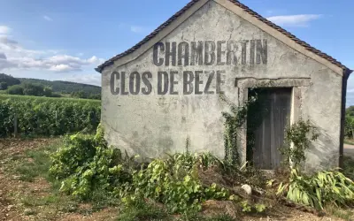 Capanna in vigneto con scritta "CHAMBERTIN CLOS DE BEZE", un nome che evoca il prestigio del **grand cru Borgogna**.