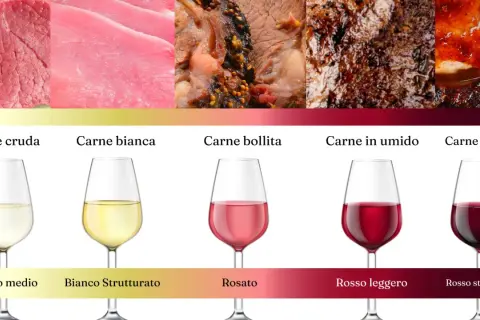 Abbinamenti ideali: carne cruda e bianca con bianchi, carne bollita con rosato, carne in umido e arrosto con vino rosso per carne.