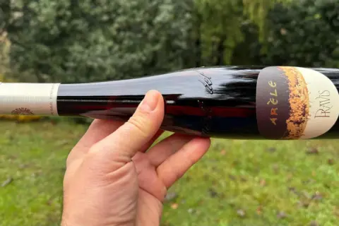 Mano che tiene una bottiglia di vino rosso, etichetta "Arèle Pravis", uno dei vini trentini famosi.