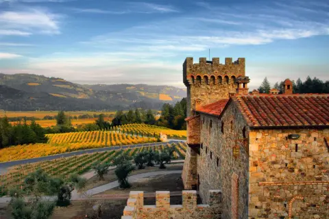 Castello in pietra con vigneti dorati sullo sfondo, un paesaggio da sogno per un famoso vino californiano.