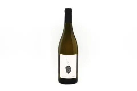 Bottiglia di vino bianco con etichetta artistica raffigurante un germoglio su un sasso. Un grechetto gentile che porta con sé la forza della terra.
