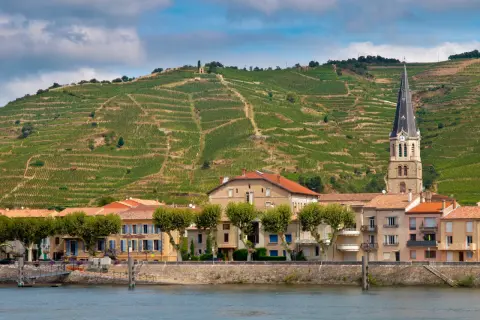 Vigneti terrazzati sul colle dietro un villaggio sul fiume Rodano, dove si produce il famoso cotes du rhone vino.