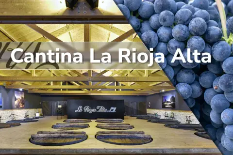 Cantina La Rioja Alta: un viaggio tra i migliori vini della Rioja, dall'uva al calice.