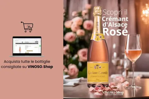 Scopri il Crémant d'Alsace Rosé, un vino spumante perfetto per ogni occasione. Acquista online su VINOSO.Shop.