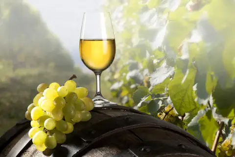 Calice di vino bianco dorato e grappolo d'uva su una botte di legno, con vigneti sullo sfondo. Un assaggio di asprinio di Aversa.