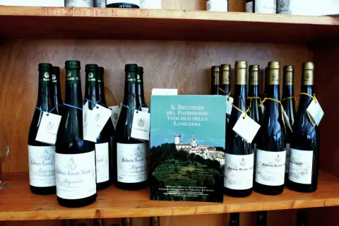 Bottiglie di vino con etichette bianche e blu, e un libro sul recupero viticolo della Lunigiana. I **colli di Luni** sono rappresentati sullo sfondo del libro.