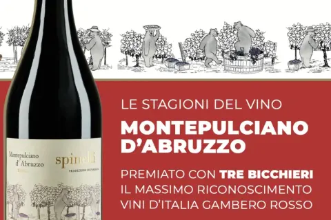 Bottiglia di Montepulciano d'Abruzzo, vino premiato con Tre Bicchieri Gambero Rosso. L'etichetta mostra orsi che lavorano nei vigneti.