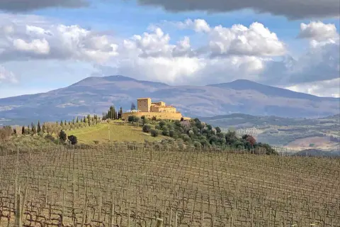 Vigneti di brunello vitigno in Toscana, con un castello in collina e montagne sullo sfondo.