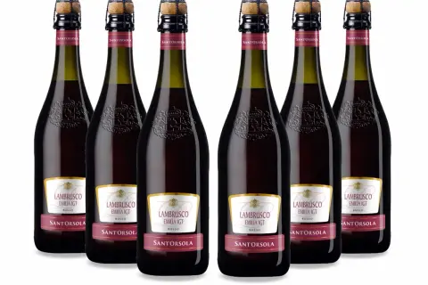Sei bottiglie di Lambrusco Santorsola, pronte per essere stappate. Il lambrusco è frizzante, perfetto per ogni occasione.