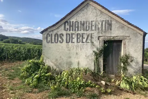 Capanna in vigneto con scritta "CHAMBERTIN CLOS DE BEZE", un nome che evoca il prestigio del **grand cru Borgogna**.