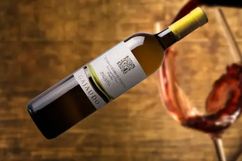 Bottiglia di Pigato Ligure Gajaudo, con un bicchiere di vino rosso in movimento sullo sfondo.
